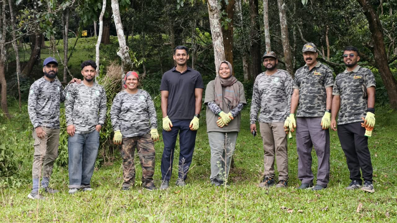 Forest restoration